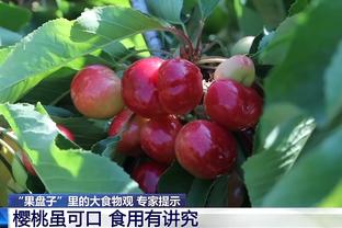 金宝搏188app下载苹果截图0